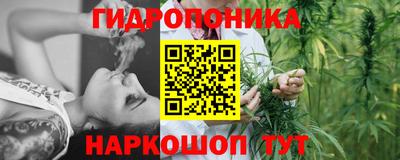спайс Кимры
